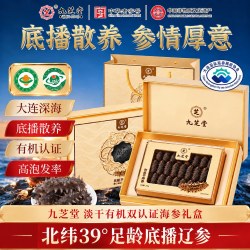 九芝堂 速发海参有机海参辽宁大连海域甄选品质礼盒送长辈中秋国庆