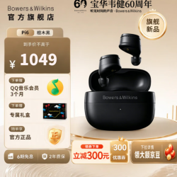 宝华韦健 Pi6 入耳式真无线主动降噪蓝牙耳机 檀木黑