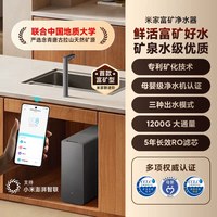 米家 小米官旗米家富矿净水器2直饮矿泉水家用净化厨下1200G