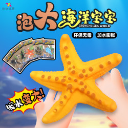 创想式界-水宝宝泡水变大海洋动物膨胀变形吸水早教益智玩具