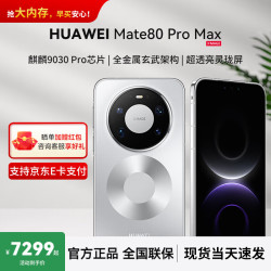 华为 Mate 80 Pro Max 手机 16GB+512GB 极地银