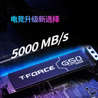 十铨 G50 PCIe4.0石墨烯散热 512GB M.2固态硬盘