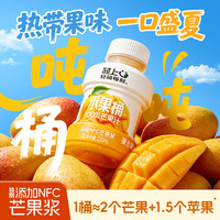 轻上 100%NFC复合果汁 芒果汁220ml*10瓶