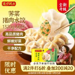 湾仔码头 白菜三鲜猪肉水饺 66只 1.32kg