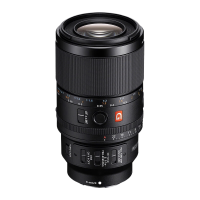移动端：索尼 FE 100mm F2.8 GM 全画幅中远摄G大师索尼百微微距镜头