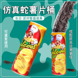 整蛊玩具仿真蛇薯片桶送朋友闺蜜生日礼物愚人节恶作剧吓一跳