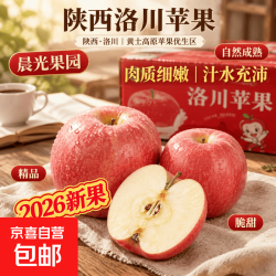 26年新果陕西洛川红富士脆甜多汁苹果正品新鲜水果应当季整箱 小果70mm+ 带箱8斤净重7斤