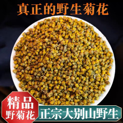 悉宝堂 正品新货野菊花野菊花朵泡水煮水袋装可搭配红枣枸杞