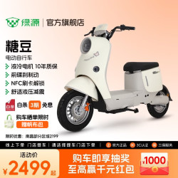 绿源 ZOF 电动自行车  LY2000DT-9