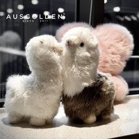 AUSGOLDENMIX 单只