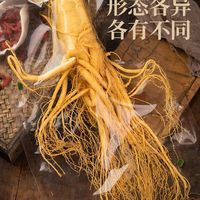 鲜人参泡酒煲汤高品质足龄保鲜参吉林原产地高龄