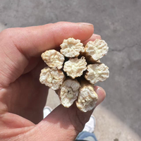 甘肃岷县优质大条党参滋补煲汤炖肉干货