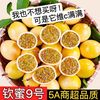 OLOEY 钦蜜9号 黄金百香果 大果 5斤装 单果60-70克