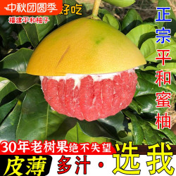 红心柚子福建平和红肉蜜柚新鲜水果当季葡萄三红琯溪整箱多仓发货