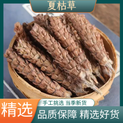 夏枯草正宗精选白毛夏枯球正品甄选新货散装干货泡水健康益母草