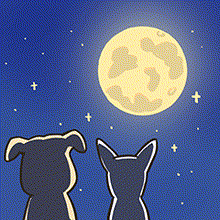 周五深夜游乐场营业中|成人之美的中秋夜,解锁你的“花前月下”