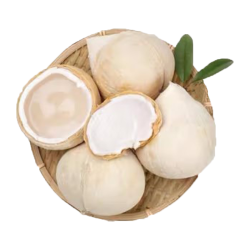 京鲜生 越南椰皇 单果500-600g 6粒装 水果礼盒