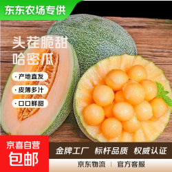 】正宗海南哈密瓜 脆甜爆汁 新鲜采摘 海南蜜瓜5-6斤1-2个装