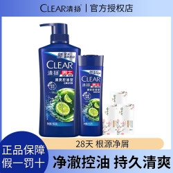 清扬 洗发水露液男士专用清爽控油净屑保湿香氛持久洗发水sc