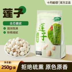 十月稻田 莲子250g*1袋干货去芯磨皮湘潭白莲子桂圆百合银耳羹湘莲