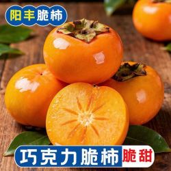彩箱5斤正宗阳丰脆柿新鲜应季甜柿子巧克力脆柿冰糖心硬柿子