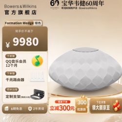 宝华韦健 FORMATION WEDGE 2.0声道 桌面