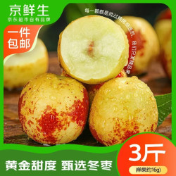 京鲜生 山东沾化冬枣 净重3斤 单果16g+ 新鲜水果 清脆爽口 源头直发包邮
