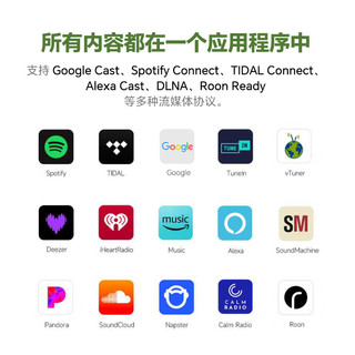 WIIM Pro Plus 蓝牙WiFi流媒体播放器
