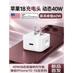 萨勒芬妮 苹果USB-C充电器 1米编织线+40W动态快充头