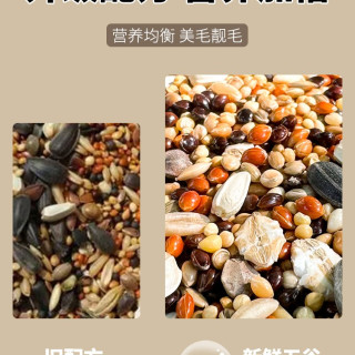 深深宠 鹦鹉鸟粮 五色黍子带壳小米黄谷子 500g