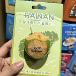 赋闲 海南海口椰汁瓶冰箱贴趣味创意旅游纪念品伴手礼物送闺蜜 海南椰子冰箱贴