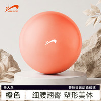 贵人鸟 瑜伽球 25CM/100G 25cm（多色可选）