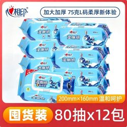 心相印 湿厕纸小飞兔家庭装加大加厚80片湿厕纸私处清洁可溶解