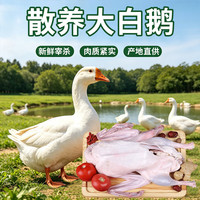 岽鲜 大鹅生鲜 净重8-9斤 带鹅腿 散养大白鹅新鲜冷冻仔鹅肉 源头直发