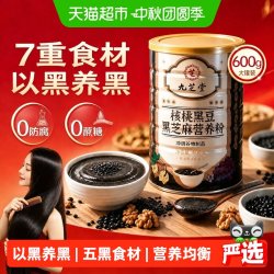 九芝堂 黑芝麻糊核桃黑豆桑葚黑米五黑粉营养早餐600g