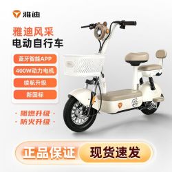 雅迪 电动车风采-G新国标电动自行车成人家用代步车