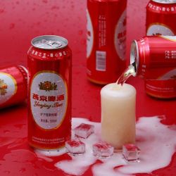燕京 8°P清爽特制啤酒 500ML*24罐