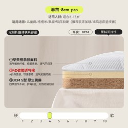 芭蕉果 弹簧床垫十大名牌家用乳胶记忆棉双人席梦思零压硬厚经济型