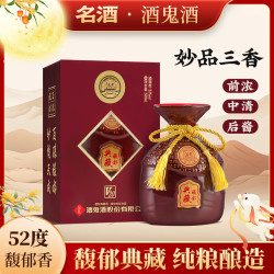 酒鬼 典藏 52度馥郁香白酒 500mL*6瓶
