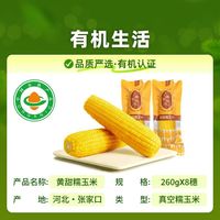 天勤粒粒净 有机黄糯玉米260g*8支26年头茬香糯低脂早餐真空包装