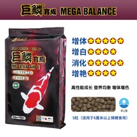 神阳 鱼食神阳巨鳞锦鲤饲料比赛级育成增体增色颗粒鱼粮易消化鱼饲料