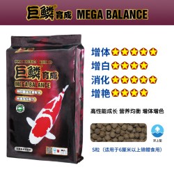 神阳 鱼食神阳巨鳞锦鲤饲料比赛级育成增体增色颗粒鱼粮易消化鱼饲料