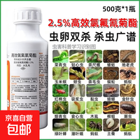 高效氯氟氰菊酯杀虫剂农药蔬菜农作物果木杀虫剂菜青虫蚜虫棉铃虫 500克