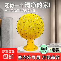 杀蝇球粘虫子粘小飞虫球果蝇苍蝇超市水果店家用无毒小飞虫诱捕器 1个大球