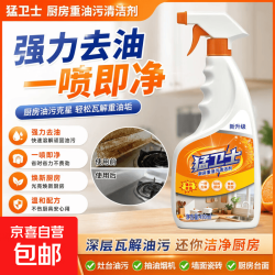 油污净油烟净家庭装 一瓶450毫升装（活动专享）