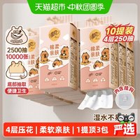 移动端：清风 X 卡皮巴拉 亲肤系列 悬挂式抽纸 4层*250抽*10提(170*132mm)