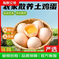 林下 散养新鲜土鸡蛋 10枚