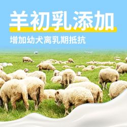 心粮 狗粮离乳奶糕狗粮幼犬专用高蛋白断奶期小中大型犬1-12月专用