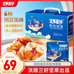 坚果星球 沃隆 wolong 每日坚果 600g 礼盒装