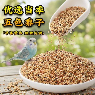 深深宠 鸟粮虎皮牡丹玄凤中小型鹦鹉鸟食饲料五色黍子鹦鹉混合粮谷子粮食